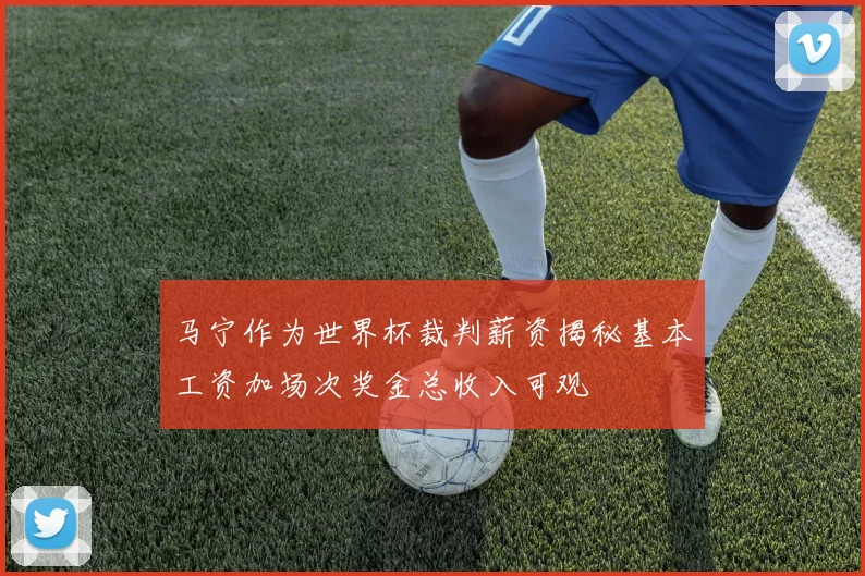 马宁作为世界杯裁判薪资揭秘基本工资加场次奖金总收入可观