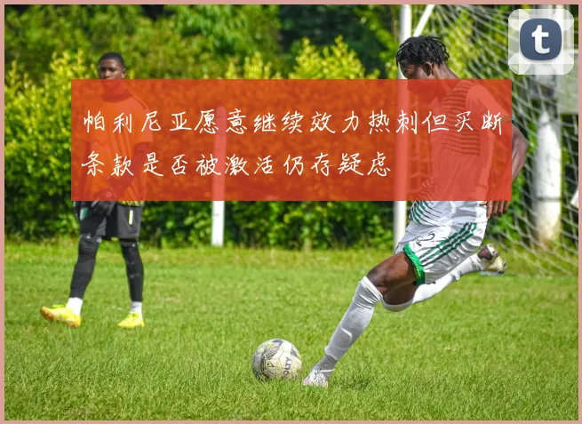 帕利尼亚愿意继续效力热刺但买断条款是否被激活仍存疑虑